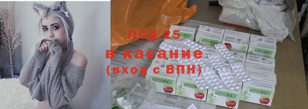ГАЛЛЮЦИНОГЕННЫЕ ГРИБЫ Белокуриха
