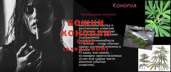 ГАЛЛЮЦИНОГЕННЫЕ ГРИБЫ Ростов