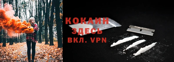 мескалин Богородицк