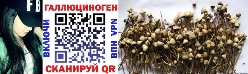 блэк спрут ONION  Медногорск  Галлюциногенные грибы MAGIC MUSHROOMS 